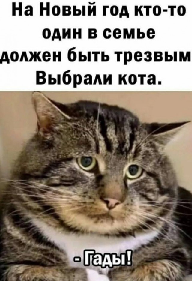 Победная поступь идиотизма по планете – том 5