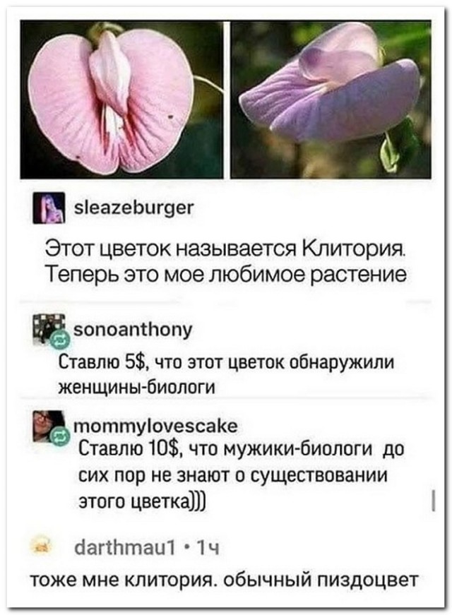 Забавные комментарии из социальных сетей (20.02.23)