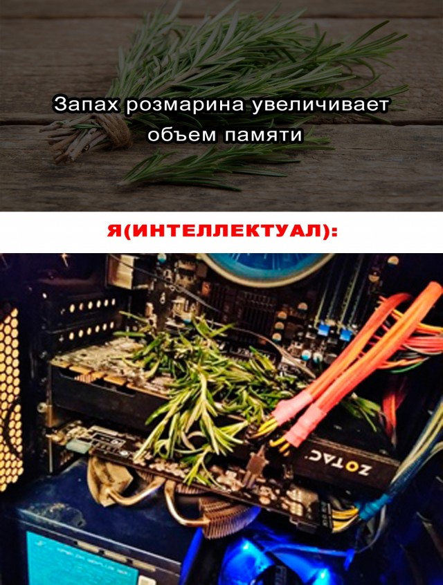 Весёлый полтишок 30.04.23