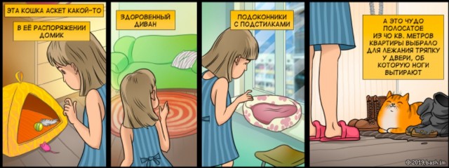 Забавные комиксы о реалиях жизни с кошкой