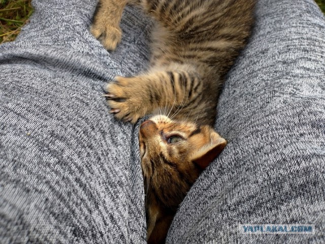 Любовные желания пьяных женщин