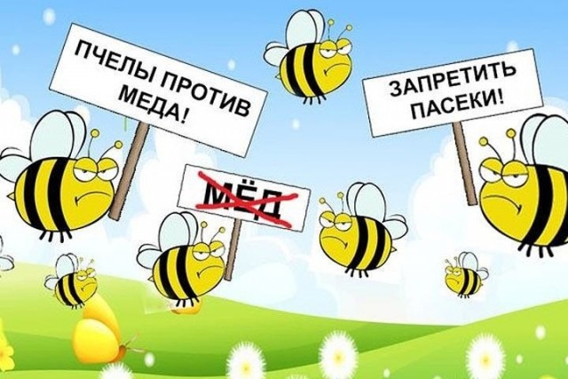 Володин предложил ввести уголовную ответственность за использование пальмового масла