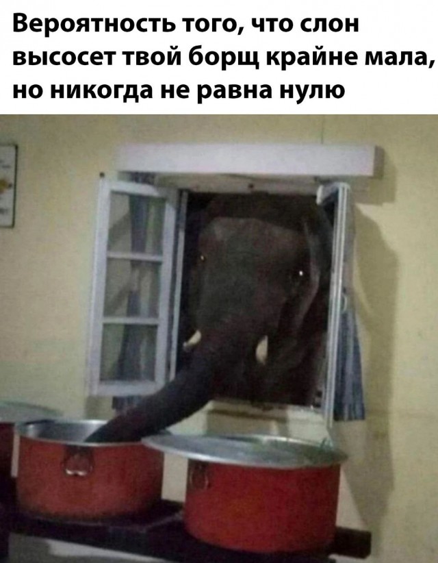 Всего понемногу. От 24.08.2023