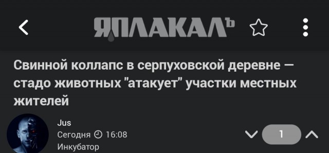 Свинной коллапс в серпуховской деревне — стадо животных "атакует" участки местных жителей