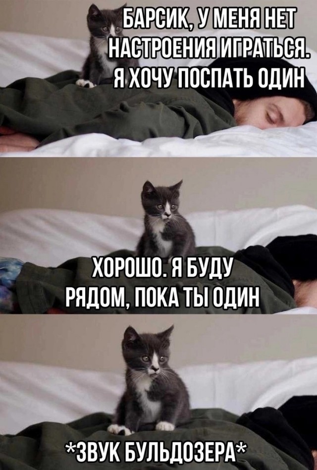 К обеду подвезли свежие баяны