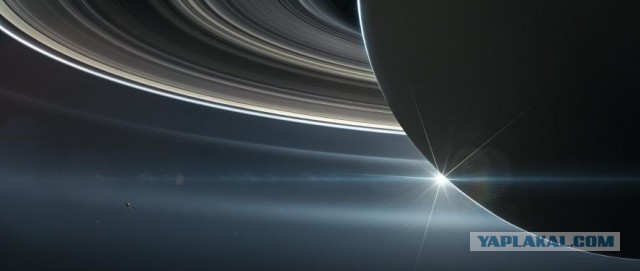 Первый раз увидел "вживую"