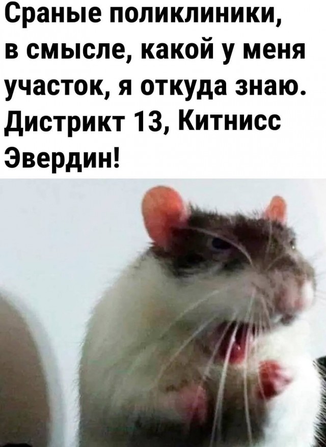 Отряд быстрого деградирования