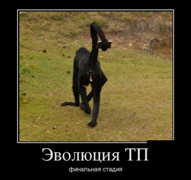 55 демотиваторов опять