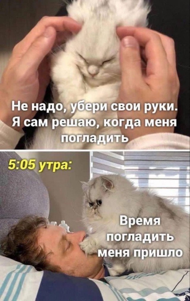 Так себе картинки 22.08.24