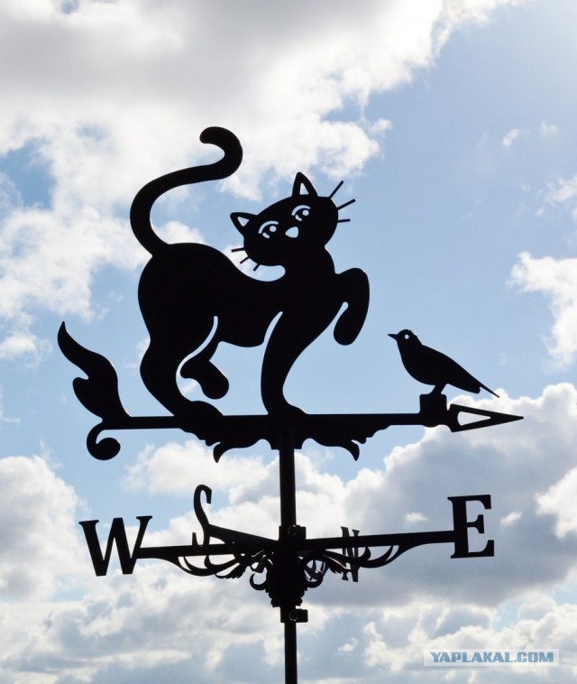 Ищу подработку: Photoshop, CorelDraw, обработка изображений.