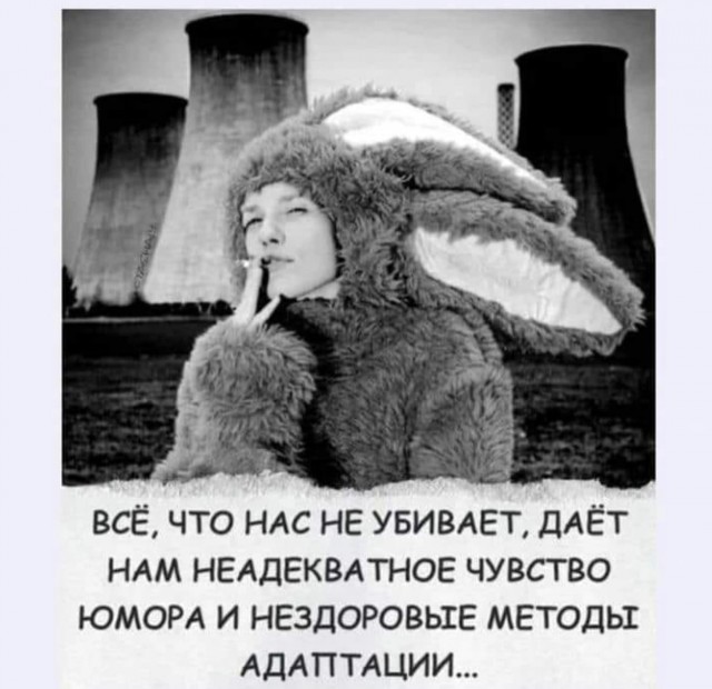 Немного забавных картинок от 07.09.24