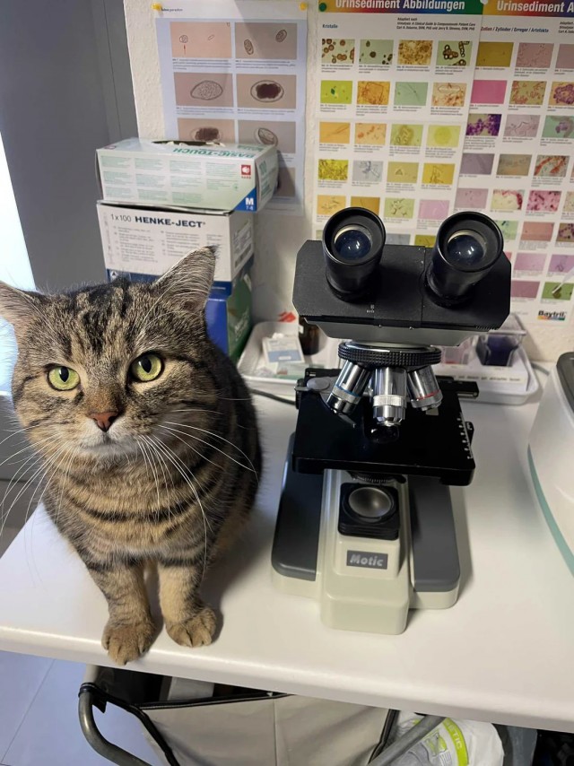 Хатуль-мадан