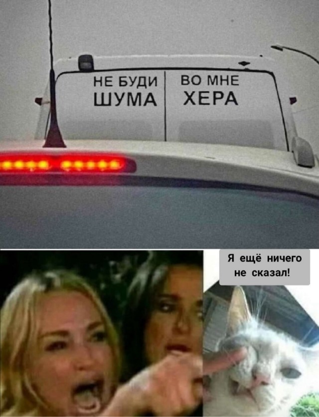 Так себе картинки 28.11.24