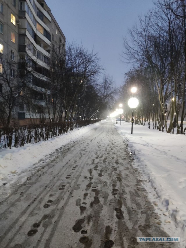 Сегодня - зимнее солнцестояние