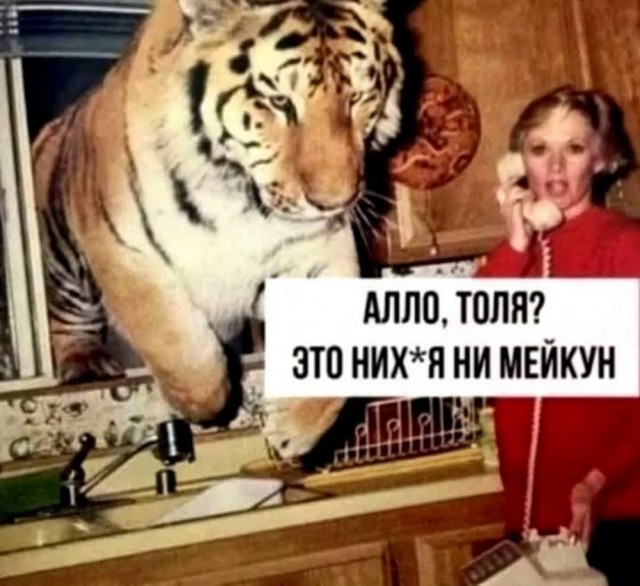 Нуштош 25.12.2024