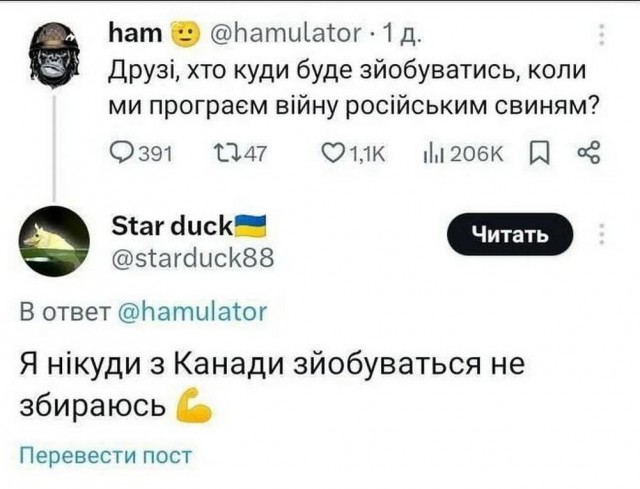 Госсекретарь США Рубио обсудит с Маском отключение Starlink на Украине