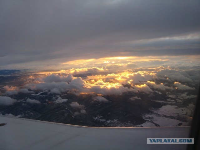 В Германию на сертификацию.