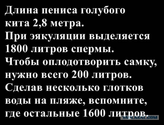 Веселые картинки в среду (практически в пятницу) (07.05)