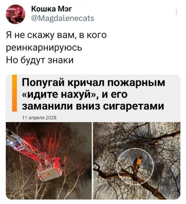 Как всегда!