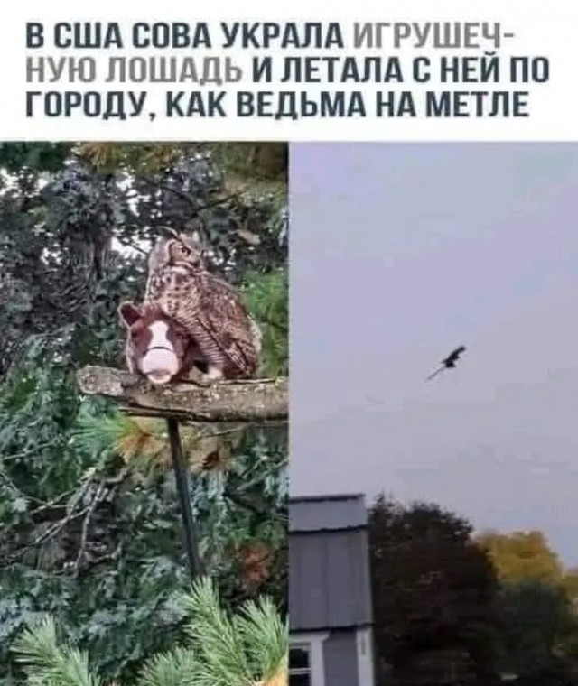 Завалялось тут случайно немного забавных картинок