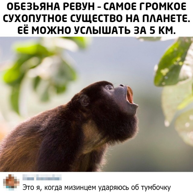 Картинки для деградации 3 (разной степени свежести)