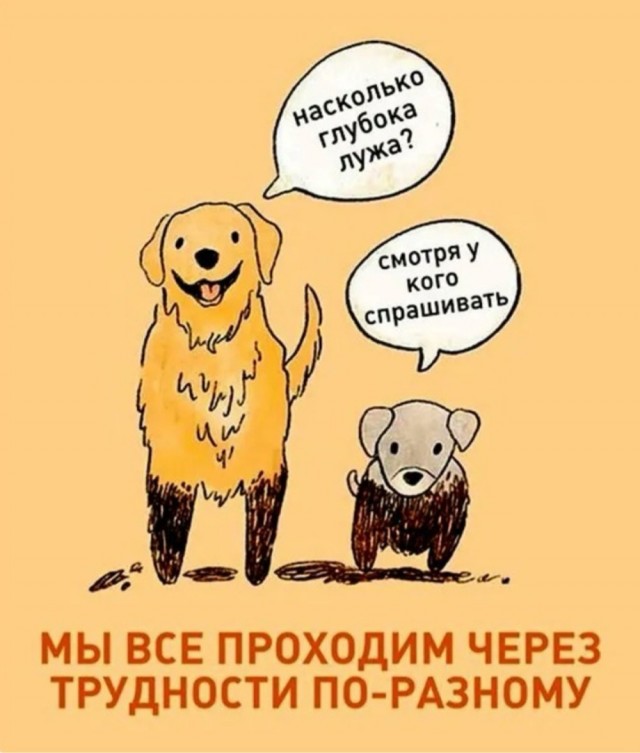 Так себе картинки 20.07.25