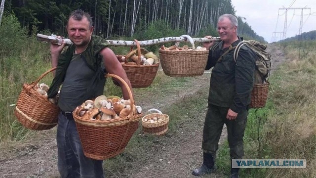 Смешал, но не взбалтывал: 26.07.25