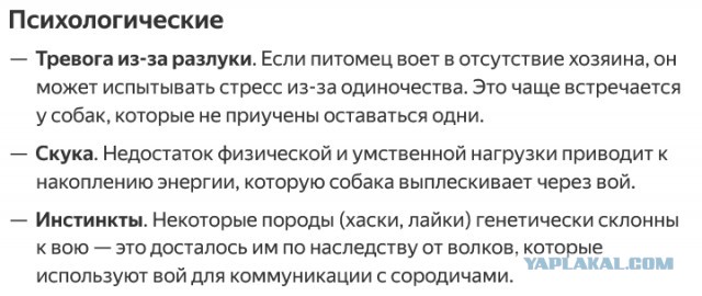 Собака воет.