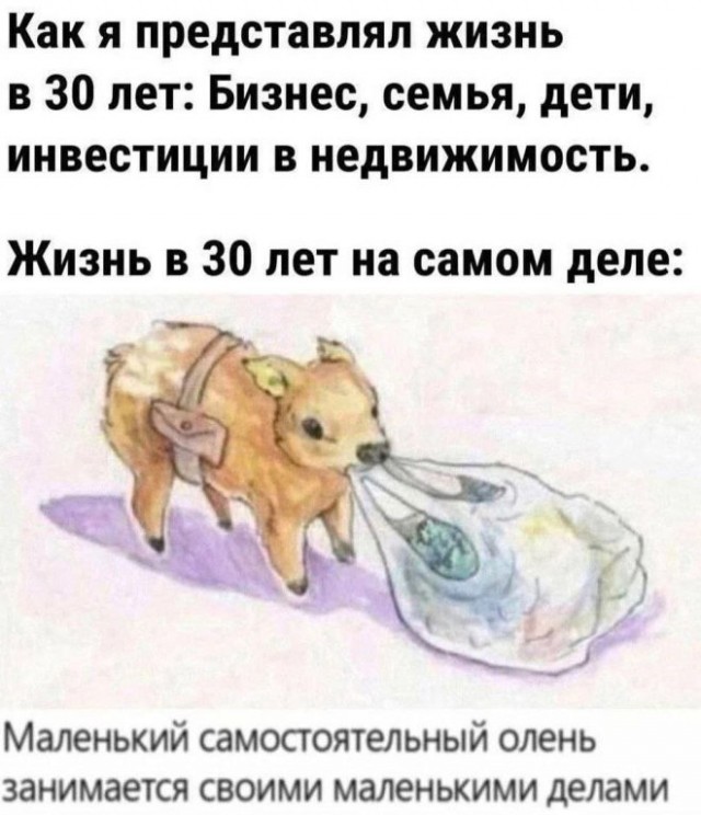 Картиночки, баянчики 21 января