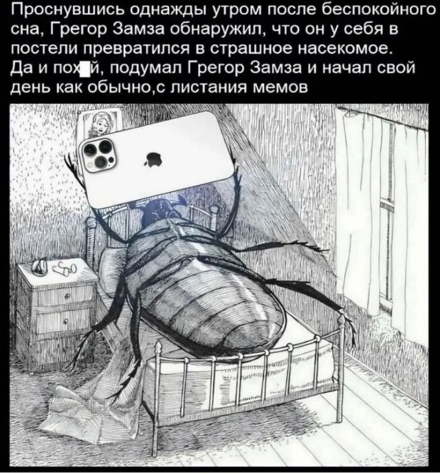 Воскресные картинки