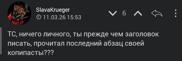 Хабаровчанку приговорили к 17 годам за сорванные листовки об армии