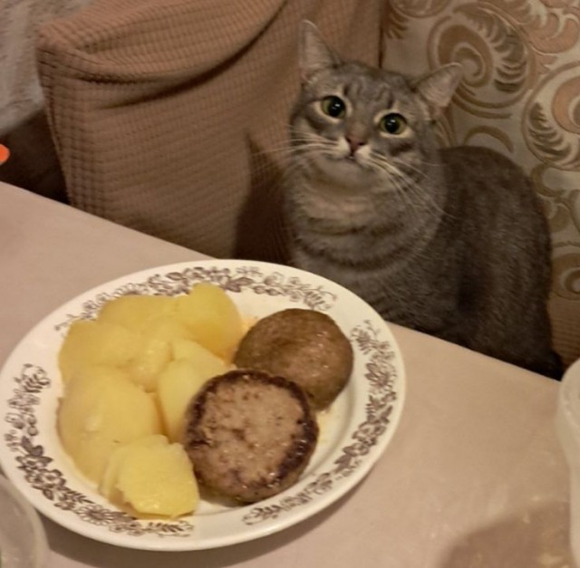 Немного картинок на ночь