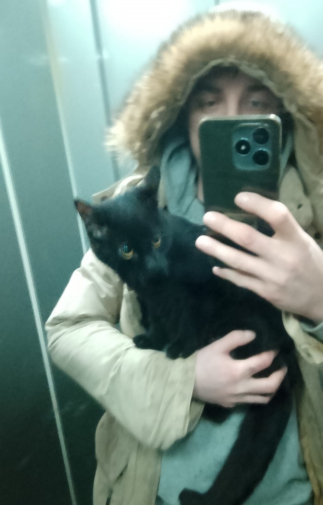 Дети надушили кошака