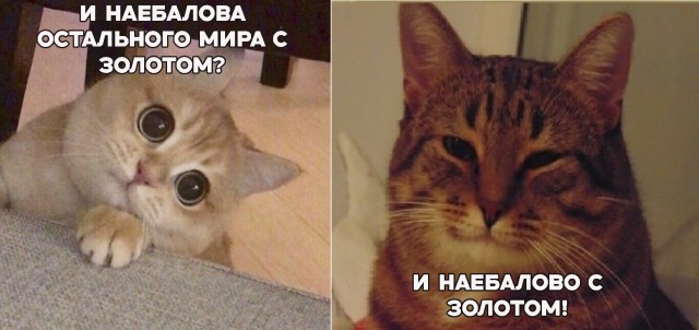 NBC News: США ищут вольфрам для создания оружия на фоне истощения запасов