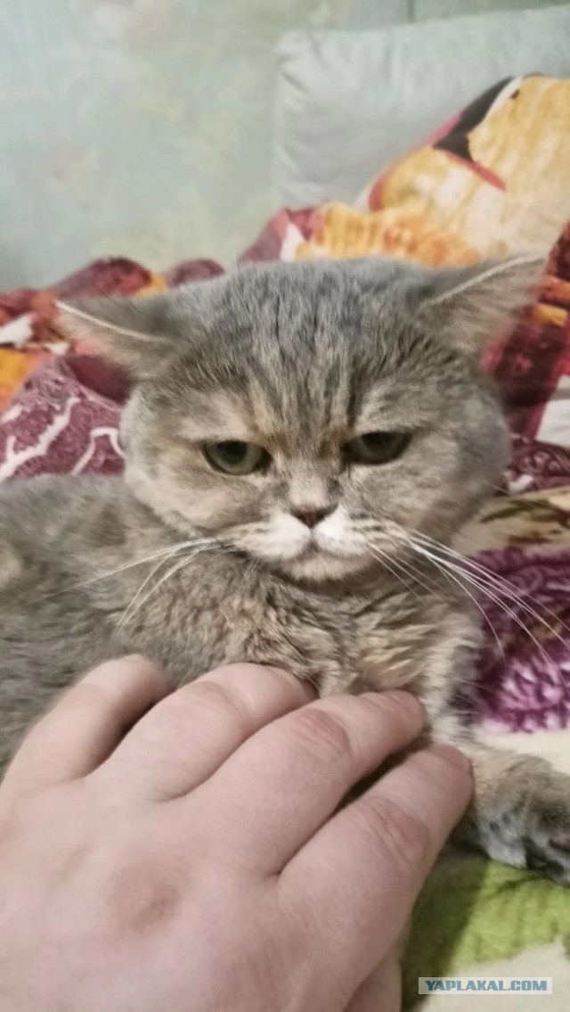 Муська