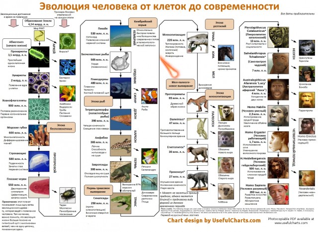 Доктор наук о теории Дарвина