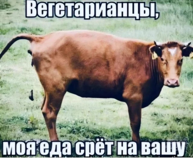 Разные картинки 03.08.26