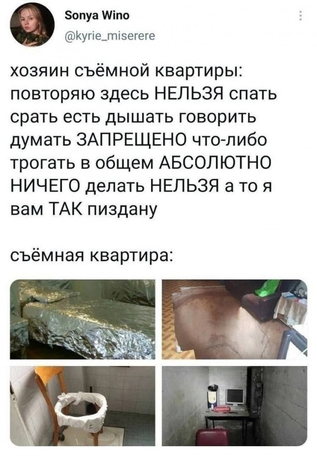 Немного забавных картинок на пятницу