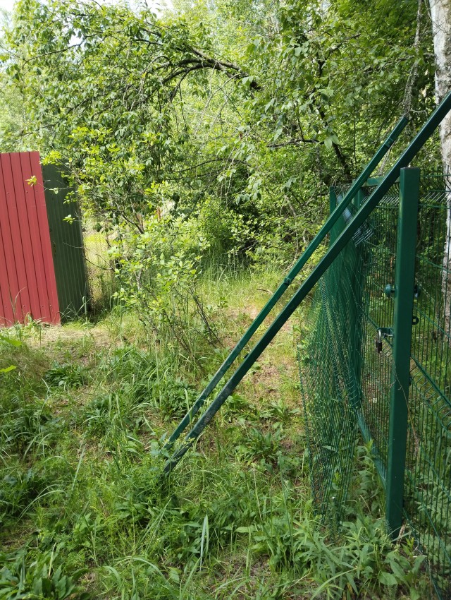 Перевод с женского⁠⁠