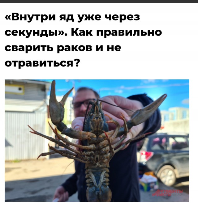 Блин, вот я живодёр...