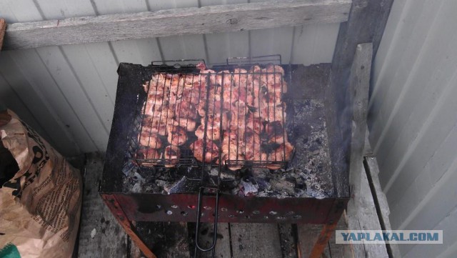 Заполярье ЯНАО