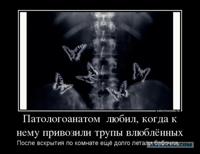 Чёрный юмор