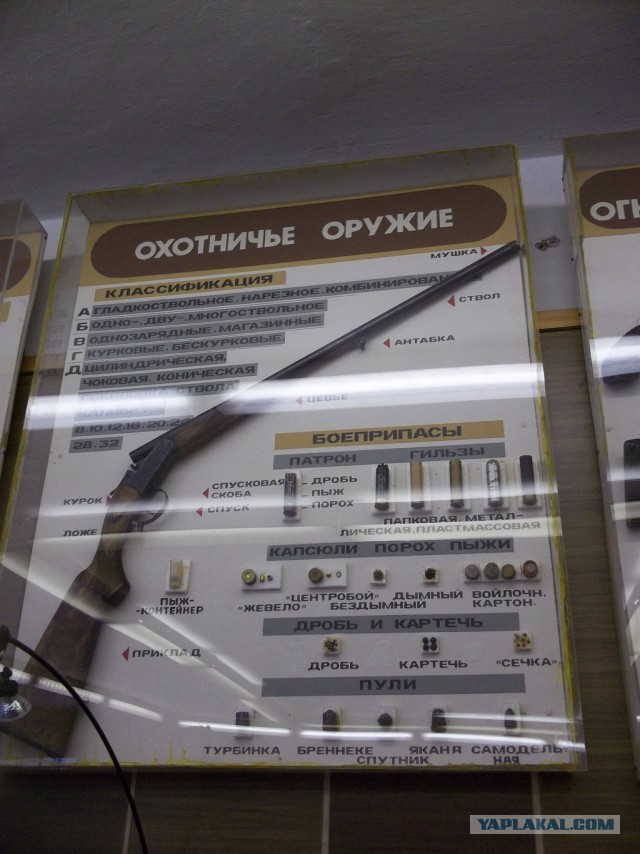 Музей судебной медицины