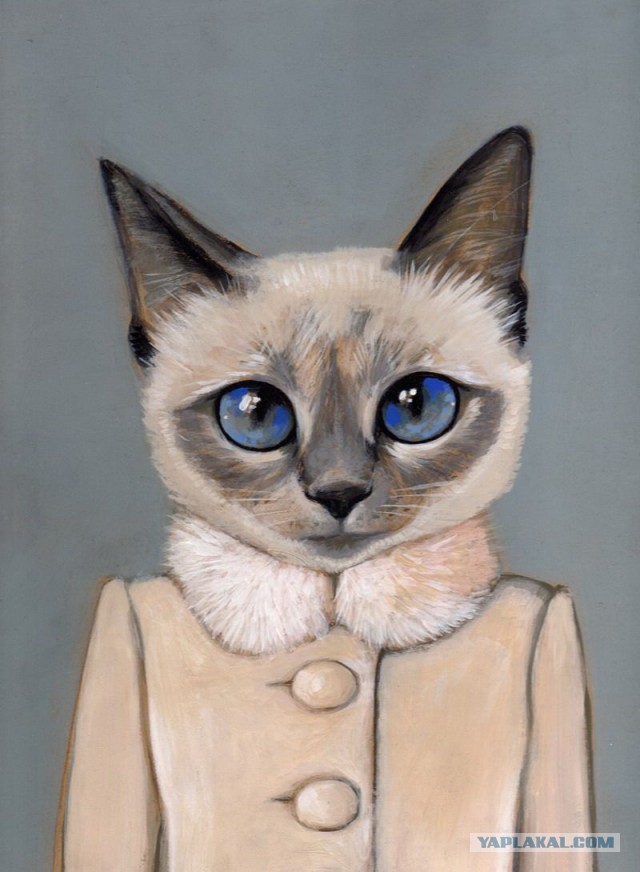 Забавные рисованные кошки