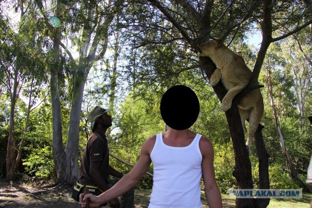 Россия и Маврикий ввели безвизовый режим