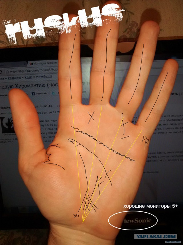 Карта для хироманта 6 букв ответ