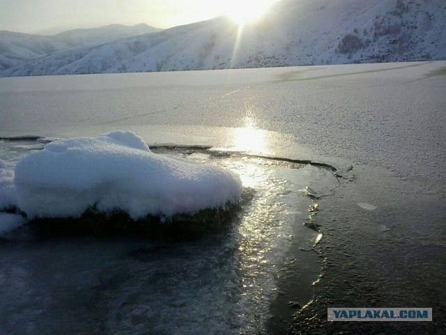 Ташкент, 2 января