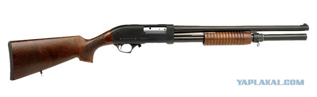 Рассказал, почему застрелил четверых