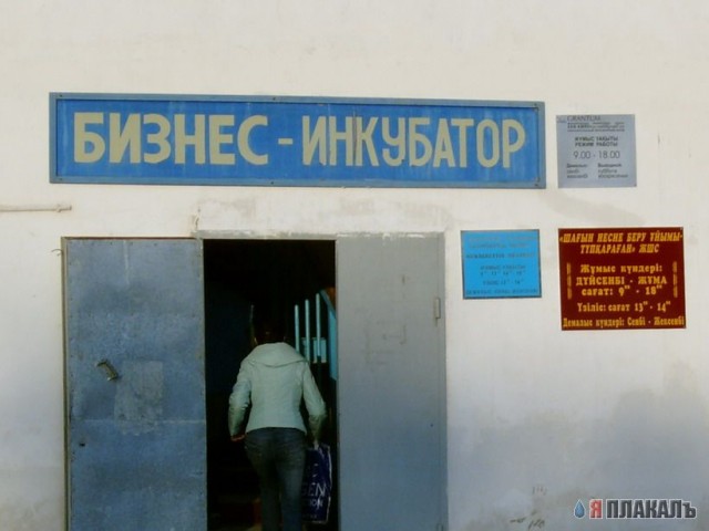 ВЫВЕСКИ, ТАБЛИЧКИ. Смешные и прикольные