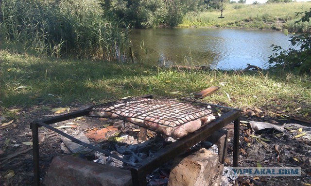 Дачные приколы